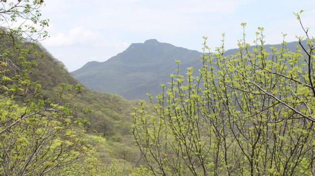 Reconocen Primera Área de Conservación Privada en Morropón - 1