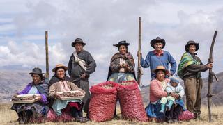 Día Nacional de la Papa: así se cosechó la mayor exportación de papas nativas en la historia del Perú 