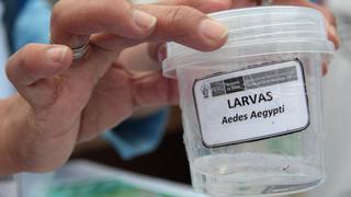 Minsa: casos de dengue han disminuido en la selva del país