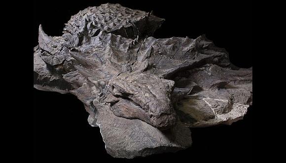 (Foto: AFP/Royal Tyrrell Museum of Paleontology)