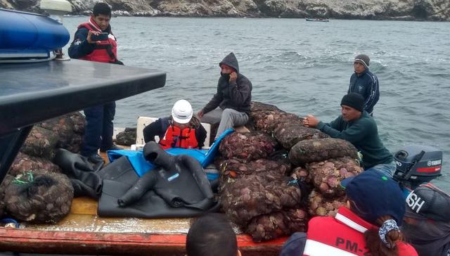 Piura: intervienen 4 embarcaciones que extraían conchas de abanico en zona protegida