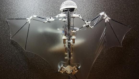 Este robot volador imita los movimientos de los murciélagos