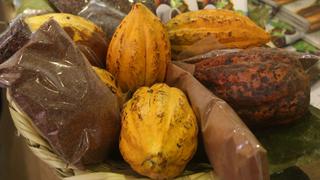 Limeños podrán degustar variedad de chocolates en festival del cacao