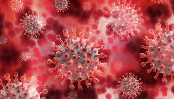 Los virus pueden causar diversas enfermedades, como la gripe o COVID-19. (Foto: Pixabay)