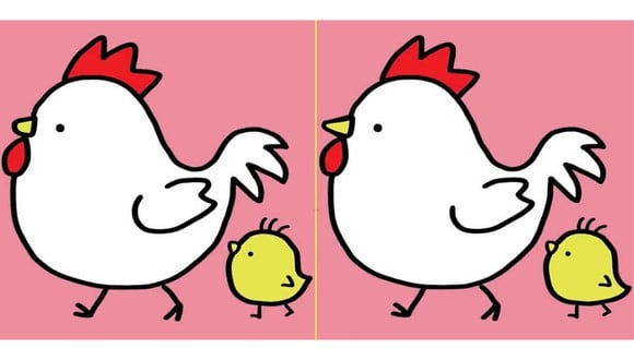ROMPECABEZAS VISUAL | Encuentra 3 diferencias entre las imágenes de gallina y pollito en 11 segundos.
