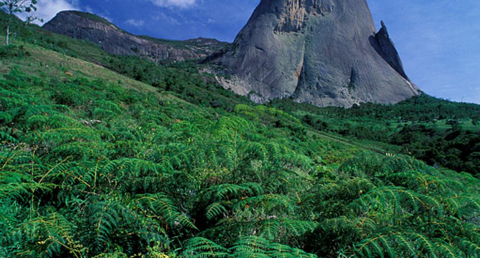 Las autoridades brasileñas anunciaron el cierre de cuatro parques naturales del estado de Espírito Santo (sureste), ante el riesgo de la extensión de la fiebre amarilla. (Foto: Getty Images)
