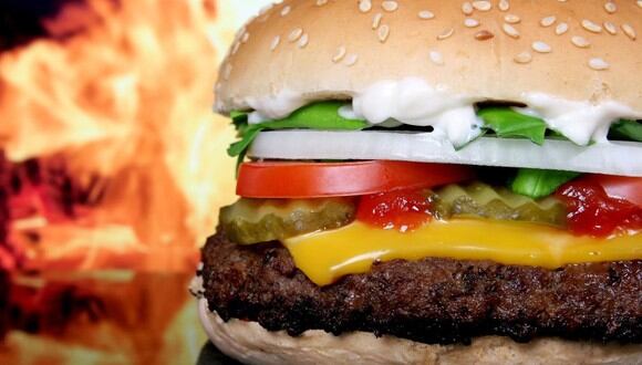 ¿Comerías una hamburguesa de grillos? (Foto: Pixabay/Moreharmony) | Referencia