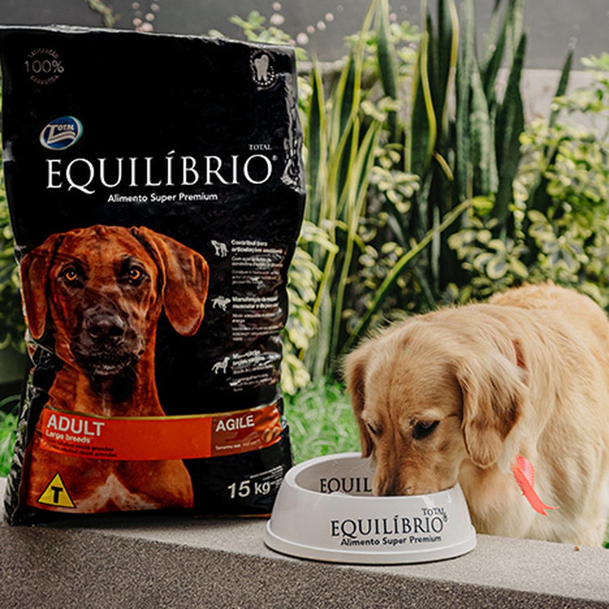 músico baño pestillo Alimentación super premium: ¿cómo elegir el producto adecuado para tu perro  o gato? | PUBLIRREPORTAJE | EL COMERCIO PERÚ