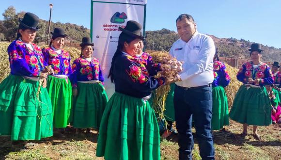 Sierra y Selva Exportadora acompaña a agricultores en su desarrollo e ingreso a mercados