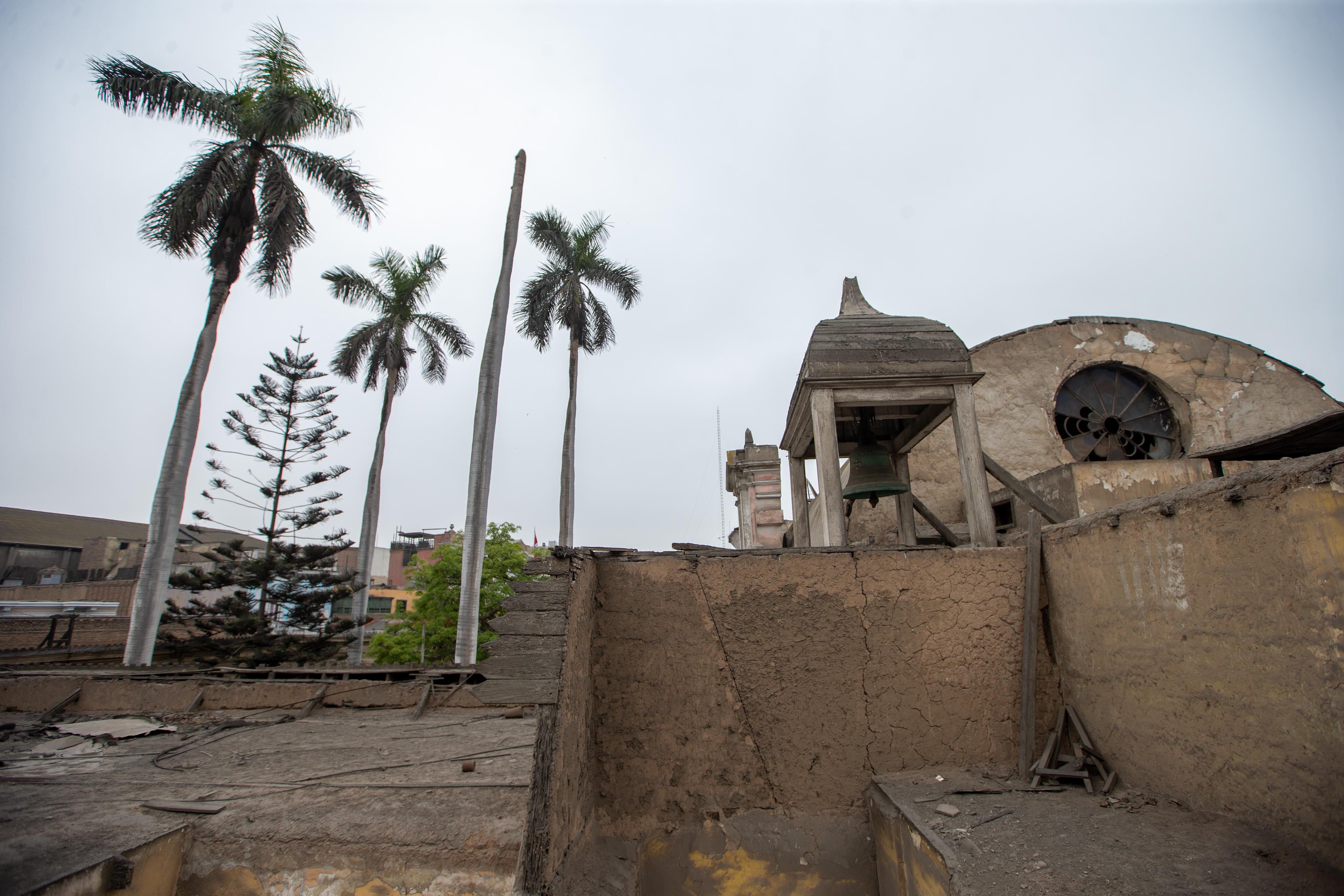 Las palmeras en el interior del local tienen más de 150 años y están protegidas. (Foto: Fernando Sangama)