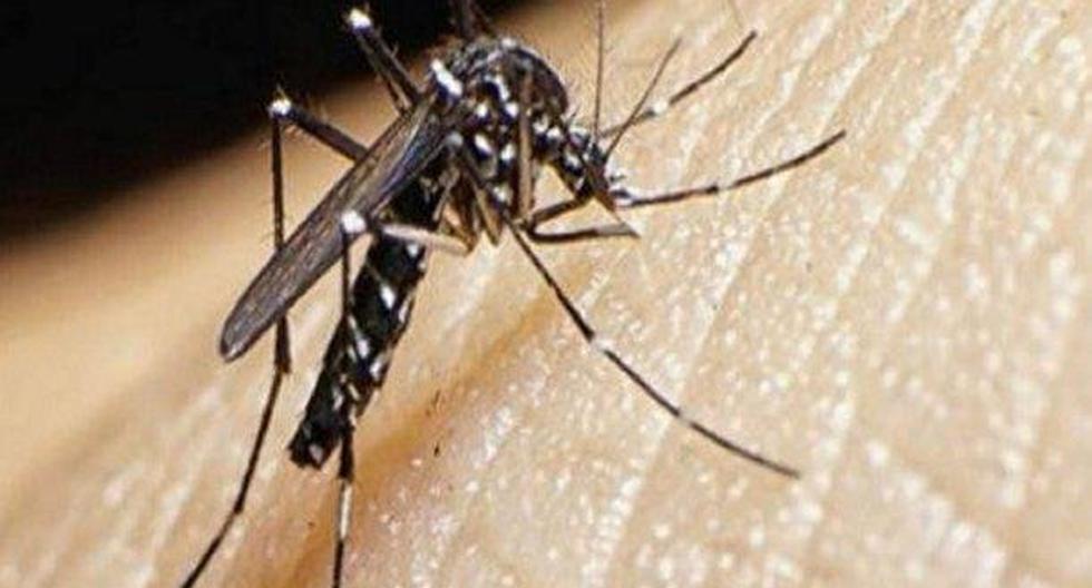 El zika amenaza con propagarse en el Perú. (Foto: Andina)