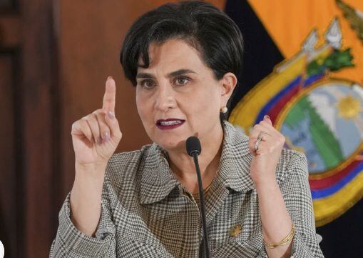 Ecuador's Foreign Minister, Gabriela Sommerfeld, assured that Mexico was the first to violate international agreements by granting asylum to Glas.