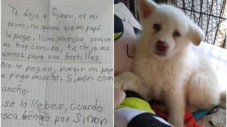 Niño deja a su perro en refugio para que no lo maltraten en su casa: “cuando crezca lo recojo”