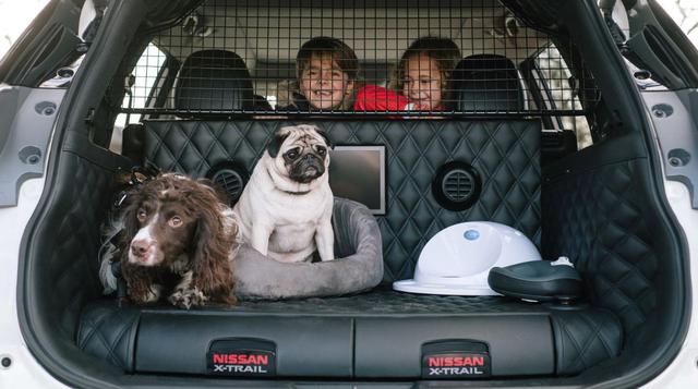 Nissan crea una SUV con todas las comodidades para los perros - 2