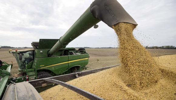 Rusia y Ucrania juntas representan alrededor del 30% de las exportaciones mundiales de trigo. (Foto: Getty)