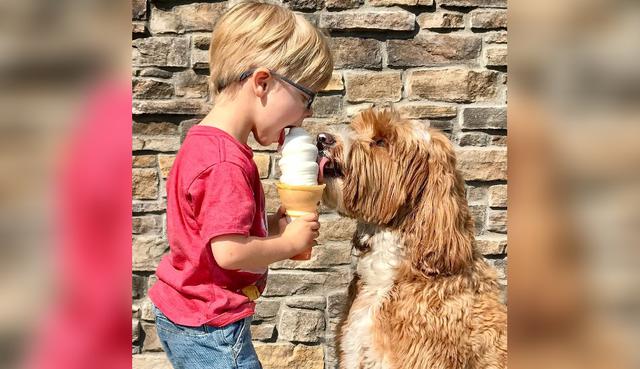 Niño y perro comparten una increíble amistad que desata ola de ternura en las redes sociales. (Crédito: @reagandoodle en Instagram)
