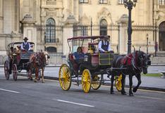 MML planea gastar S/13 millones en carruajes a caballo para “reorganizar el transporte público” en el Centro Histórico 