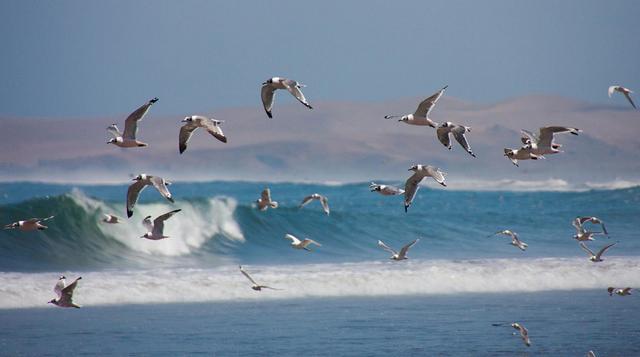 Descubre 6 de las más hermosas playas escondidas del Perú - 9
