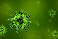 Coronavirus | Por qué la existencia de un quintillón de virus en la Tierra es una buena noticia