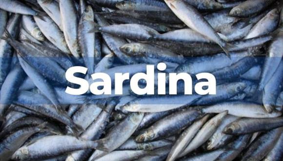 Qué beneficios tiene comer una lata de sardina a la semana, según la ciencia