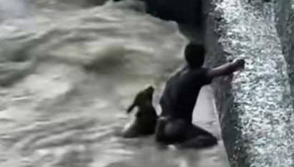 Un ciudadano de India decidió arriesgar su vida por salvar a un ternero que se había caído a un caudaloso río. Créditos: Newsflare / YouTube.