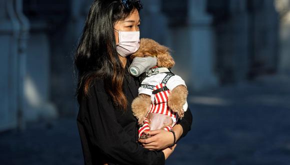 El gobierno peruano ha dejado saber que aún es posible atender a las necesidades de las mascotas en esta nueva cuarentena por COVID-19. (Foto referencial: EFE)