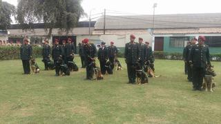 Policía Nacional: entrenan a 25 canes para ayudar a controlar a revoltosos