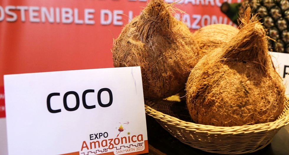 Expo Amazonica Los Productos De La Selva Que Buscan Conquistar A