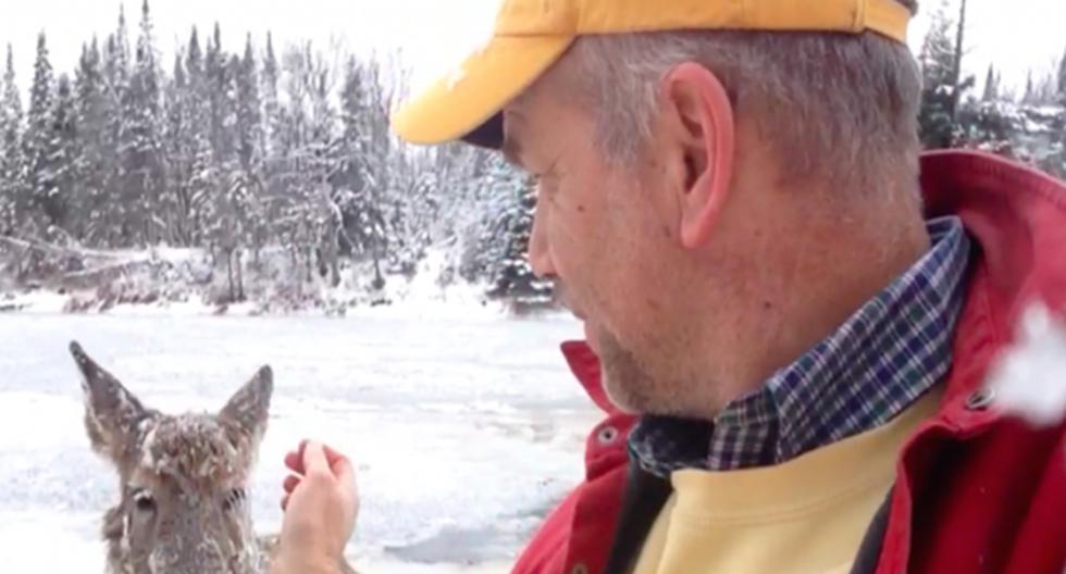 El video que se hizo viral en YouTube por un hombre que salvó a un pobre ciervo de morir congelado. (Foto: Captura)