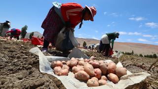 Fondo Agroperú: pequeños agricultores asociados podrán acceder a financiamiento mediante Agrobanco