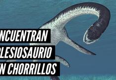 Encuentran a plesiosaurio en el Morro Solar de Chorrillos