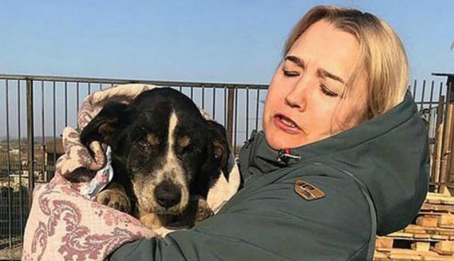 Se viralizó en Facebook la insólita historia de Dik, el perro que 'revivió' y que se reencontró con sus dueñas. (Foto: Irina Mudrova)