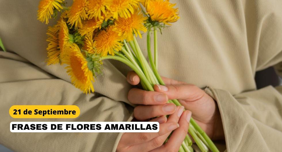 50 phrases of yellow flowers to dedicate this September 21 |  Answers