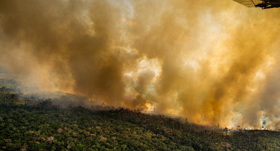 Incendios ardiendo en la Amazonía el 17 de agosto del 2020, junto a los límites del Territorio Indígena Kaxarari, en Labrea, estado de Amazonas. (Foto: Greenpeace)