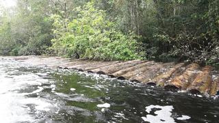 Ucayali: PNP detecta más de 4 mil trozas de madera ilegal