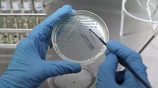 Científicos buscan permiso para modificar embriones humanos