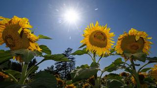 ¿A qué hora y cuándo inicia el equinoccio de Primavera en México?