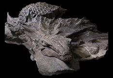 Este es el dinosaurio acorazado mejor conservado del mundo