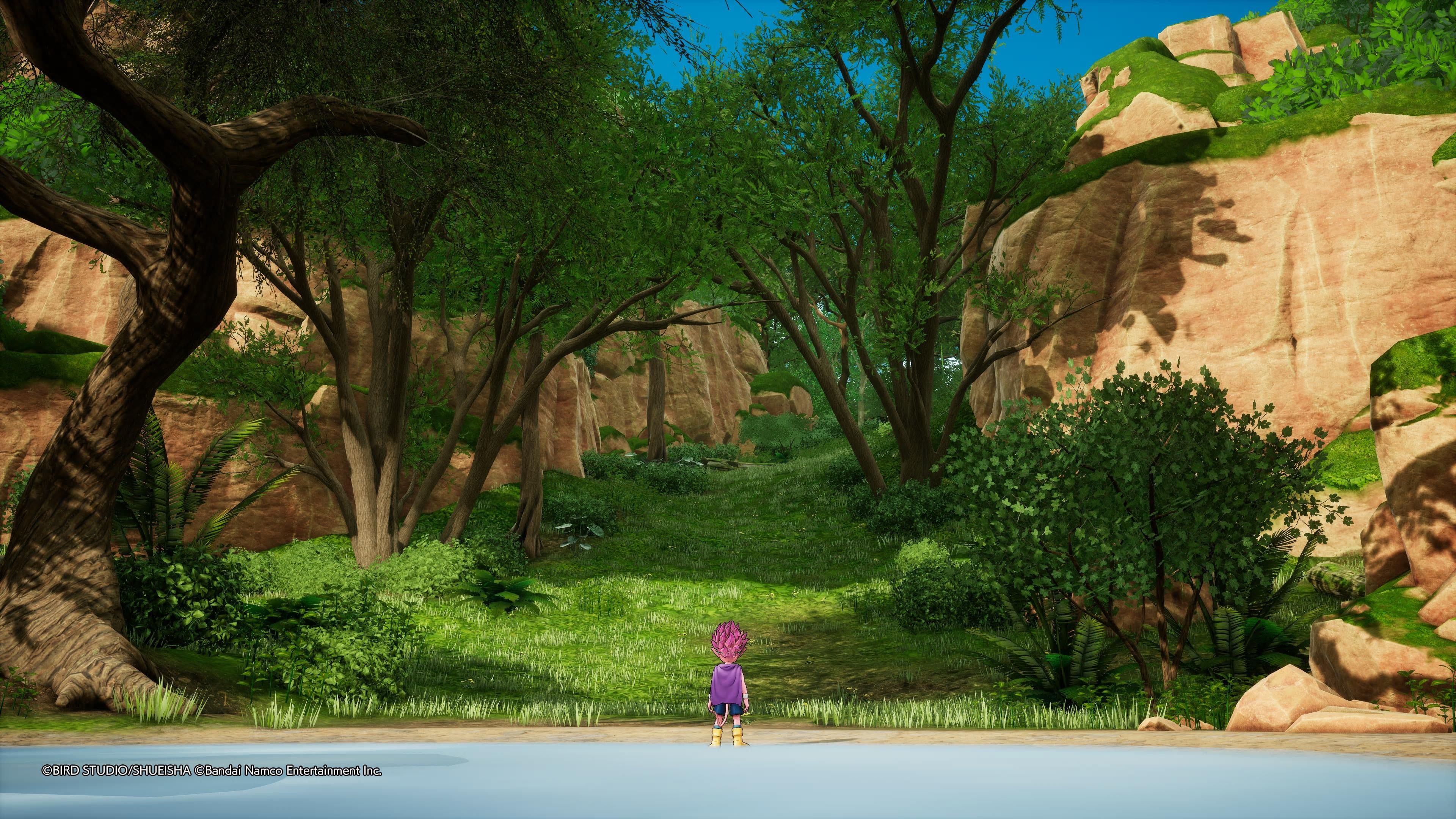 "Forest Land" es un nuevo espacio creado por Akira Toriyama para esta adaptación y para el anime.