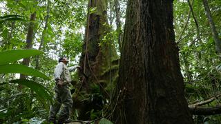 Madre de Dios: asesinan de dos balazos a defensor ambiental 