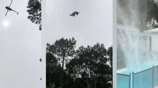 ¿Maltrato animal?: Lanzan cerdo a una piscina desde un helicóptero