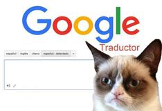 Google Translate: traductor para gatos existe y lo venden en Japón