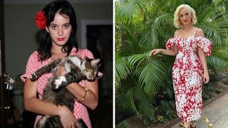 Katy Perry comparte sentido mensaje por la muerte de su mascota