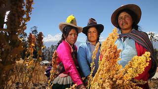 En la segunda quincena de junio se empezará a promover la dieta andina