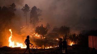 Este verano, el fuego carbonizó el 25% de la mayor área protegida de Portugal