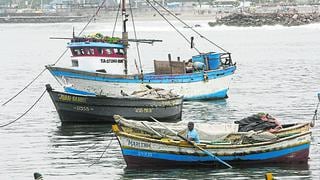 Ministerio de la Producción apunta a reducir en 30% la informalidad pesquera artesanal hasta julio del 2021