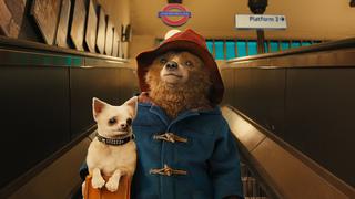 ‘Paddington en Perú’: Actor que le da vida al osito reveló no tener noticias del film