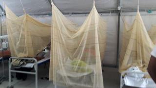 Dengue en Piura: número de víctimas mortales se eleva a 15