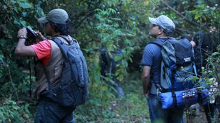 Caminar rodeado de árboles alivia el estrés