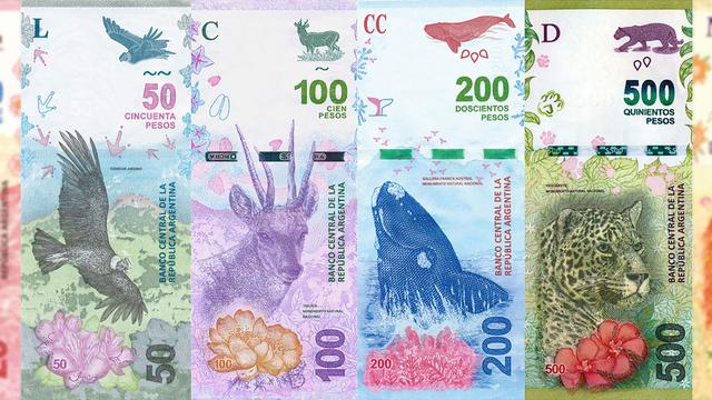 Billetes de Argentina. (Foto: Infobae)